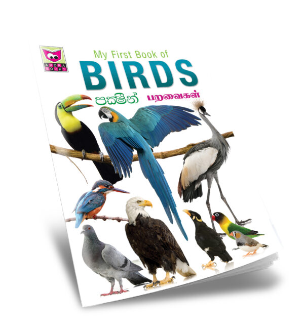 My First Book - Birds